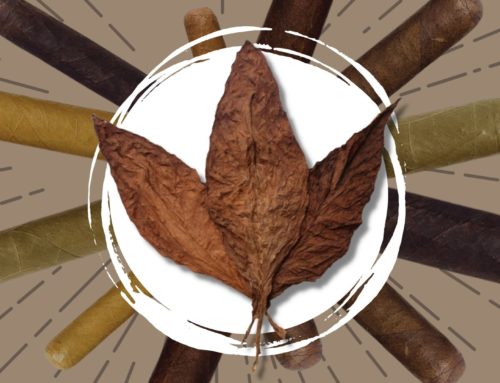 The Cigar Wrapper Article To End All Cigar Wrapper Articles
